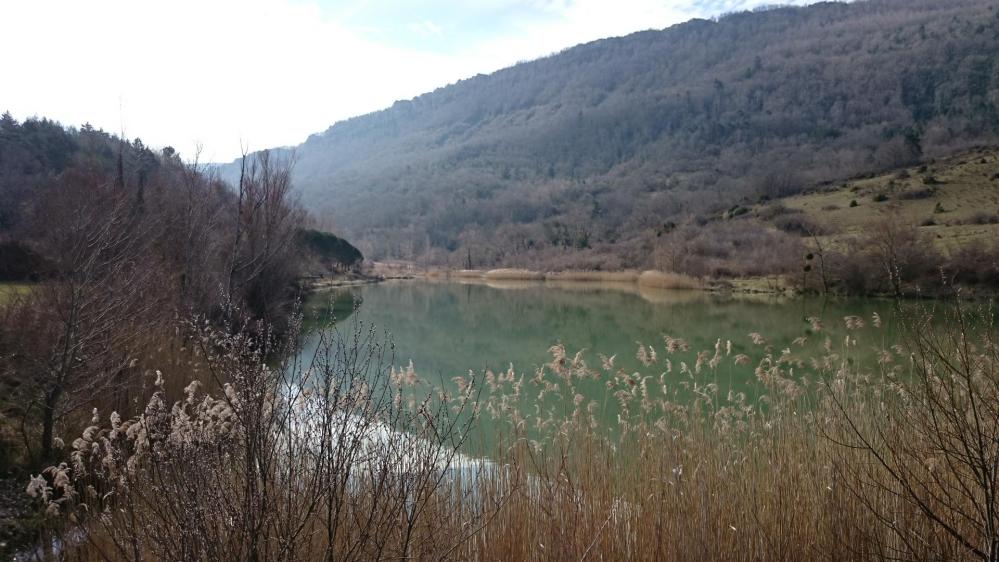 Le lac de Venne