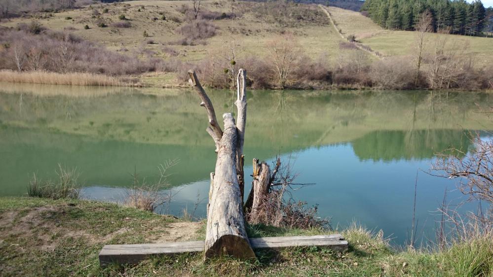 Le lac de Venne, le plongeoir des jeunes du village !