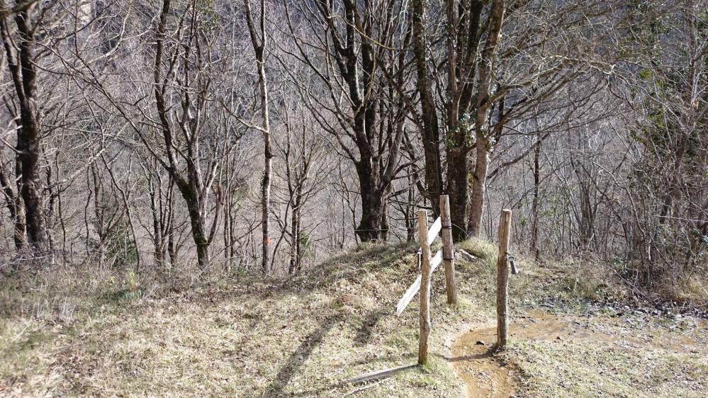 Le cheminement reste en sous bois