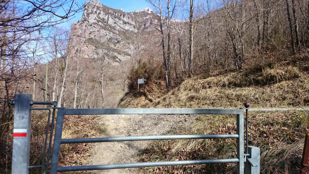 Puis remonter vers la route et poursuivre en face