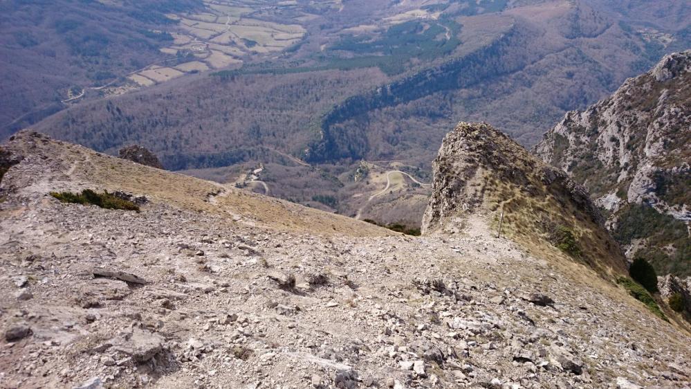 Pech de Bugarach ...vue en contrebas dans la montée au sommet !