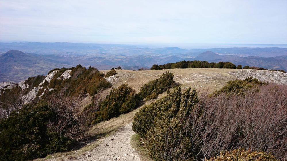 Pech de Bugarach ..Juste avant la plongée vers le col de Linas