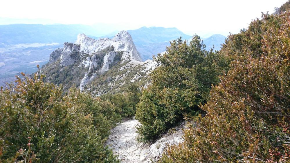 Pech de Bugarach ...la descente vers le col de Linas ! La partie agréable !