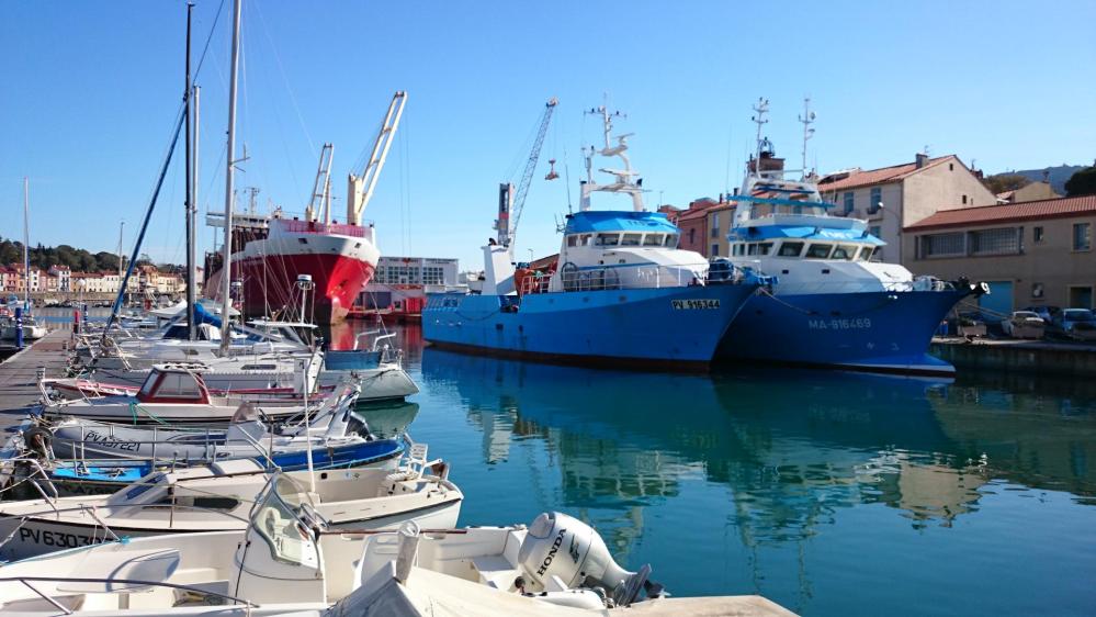 Le port de Port Vendres