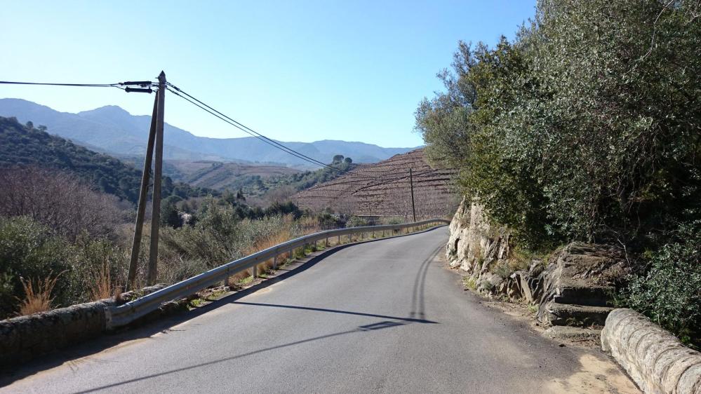 La route du col de Banyuls