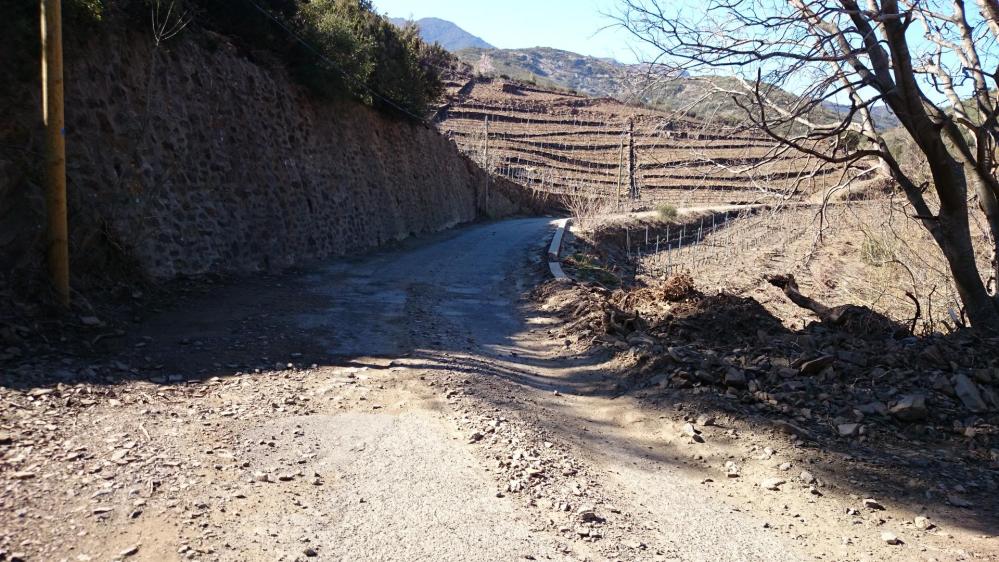 Col de Banyuls côté français ... route dégradée est un mot faible ! c'est un chemin de terre !