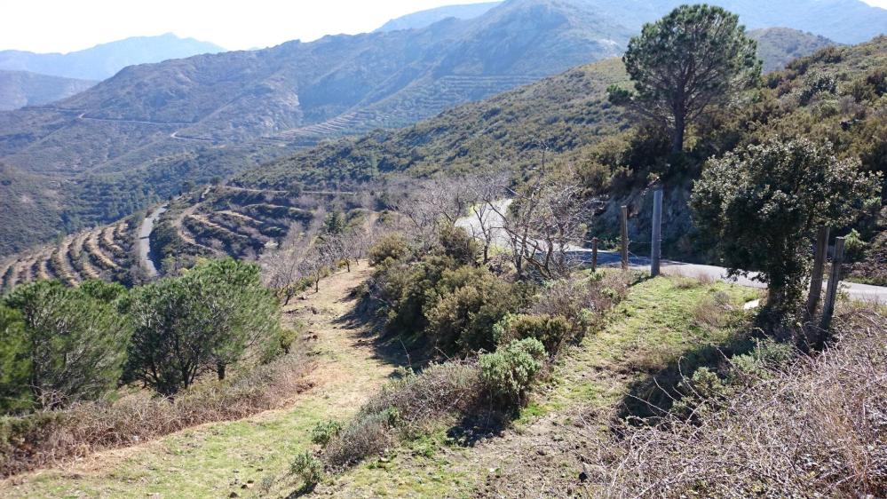 Col de Banyuls côté français ... dernier kilomètre !