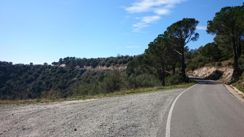 Et ensuite une belle montée vers  le parc naturel des Albères