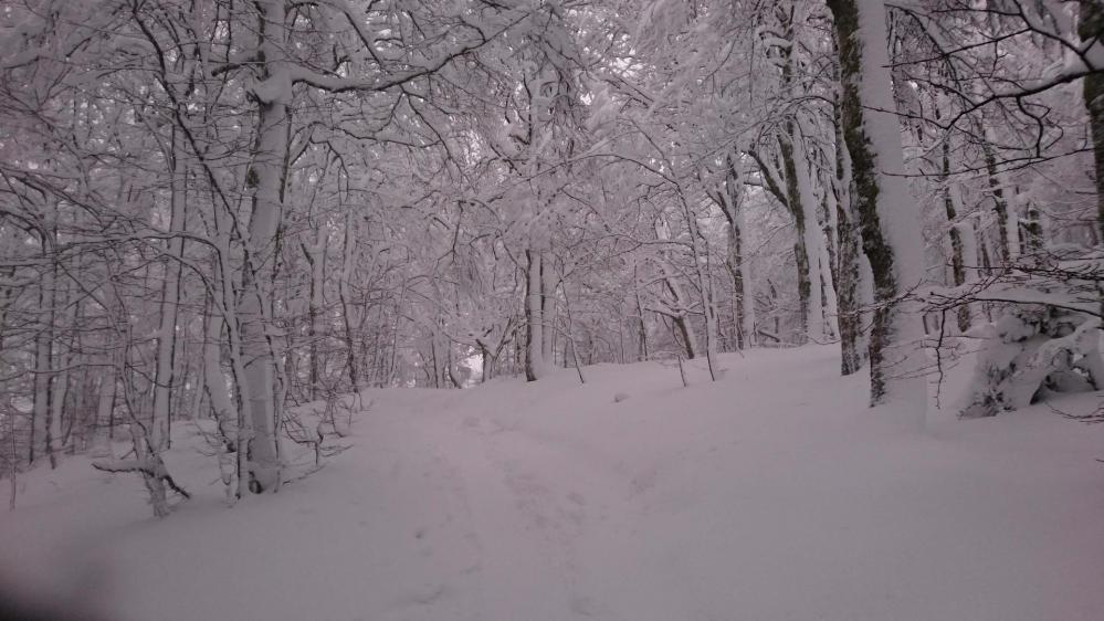 Neige poudreuse tombée en abondance au départ derrière la chapelle de la Schlucht