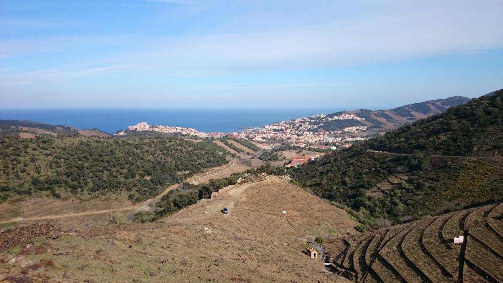 Banyuls vue depuis la route qui mène à la tour Madeloc