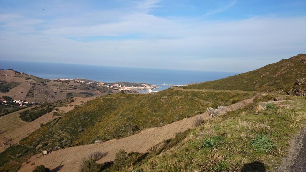 Port Vendres en contrebas en redescendant de la tour de Madeloc