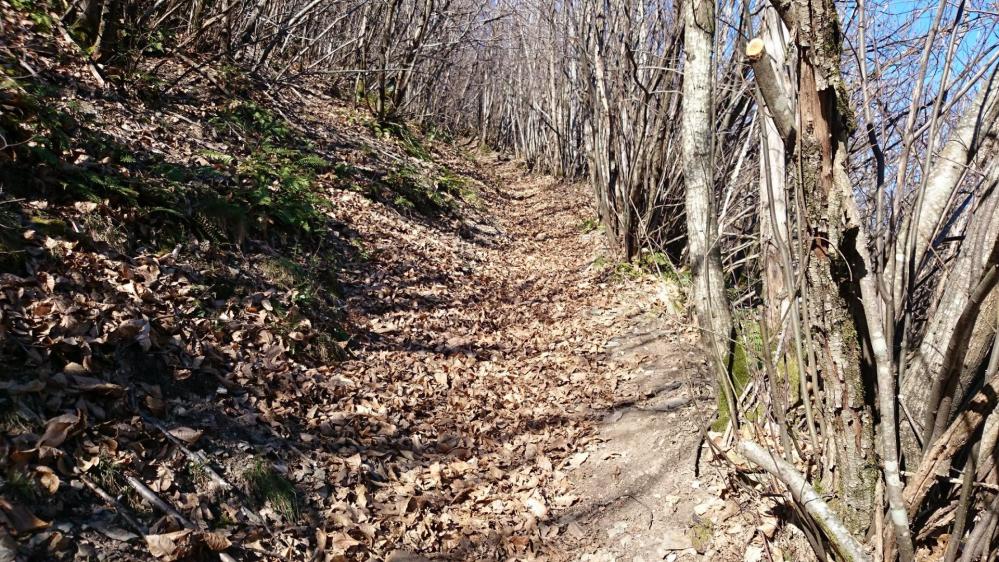 Montée raide dans un sentier remplis de feuilles mortes, piégeuses !