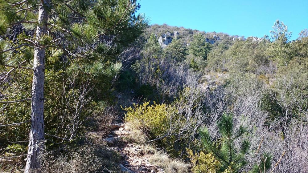 Début de montée au Pic d'Anjeau (raide , il faudra mettre les mains à la fin)