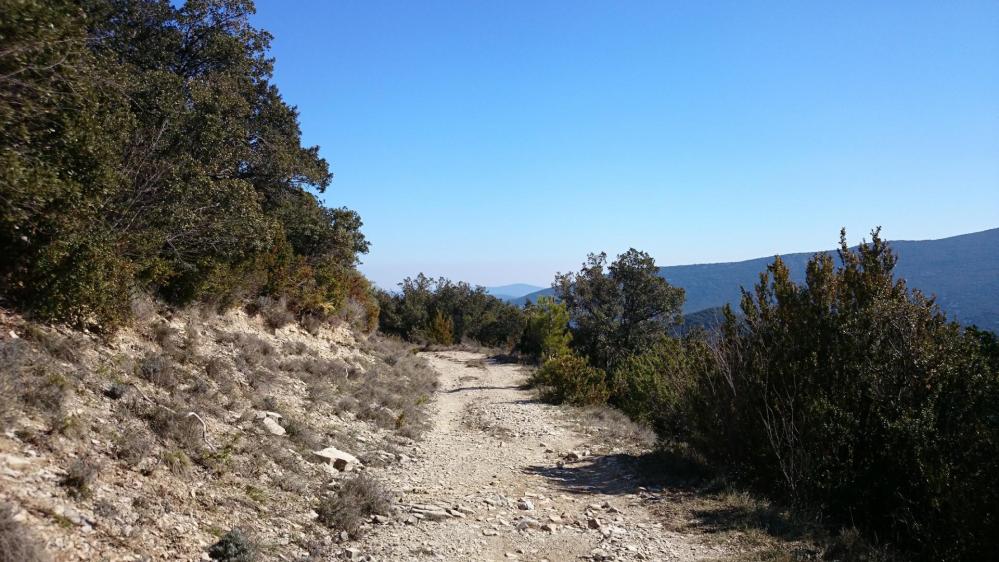 on rejoint la piste qui mène au pied du pic d'Anjeau