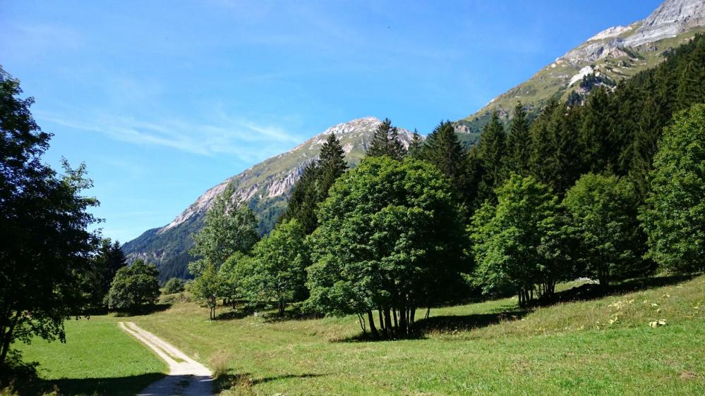 Vallon de Chavière sous le <petit Mont Blanc