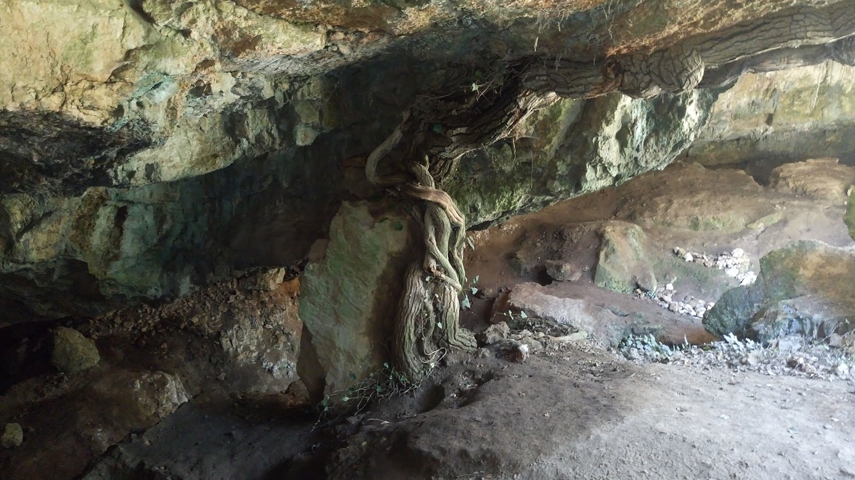 Randonnée grotte du Mounoï (Manon des Sources)