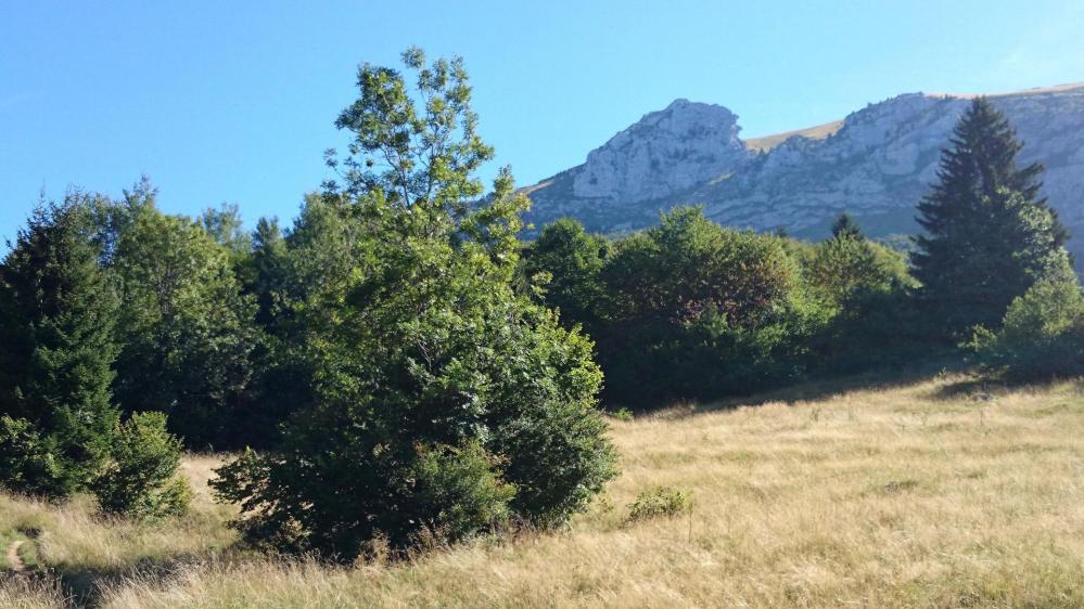 La dent des Portes , direction de la montée vers le Mont  Trélod