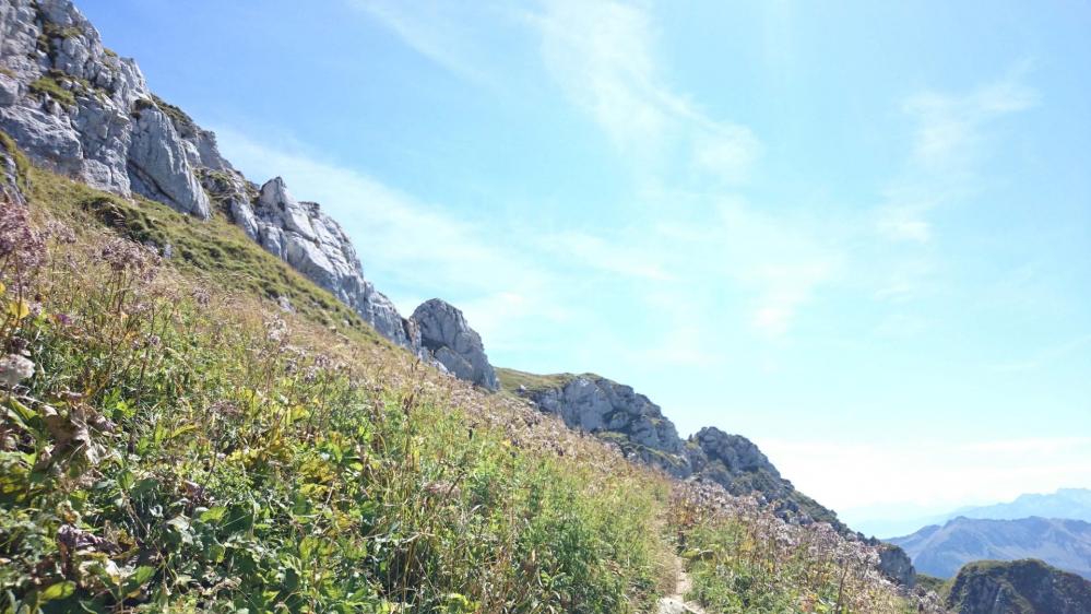 Sous les barres rocheuses du Mont Trélod