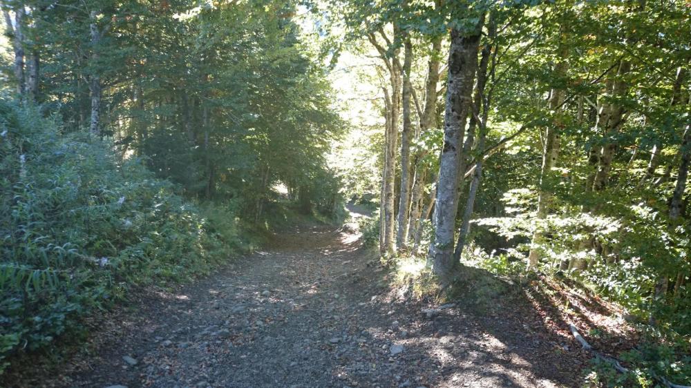 Départ depuis Font d'Alagnon vers le col de Rombière