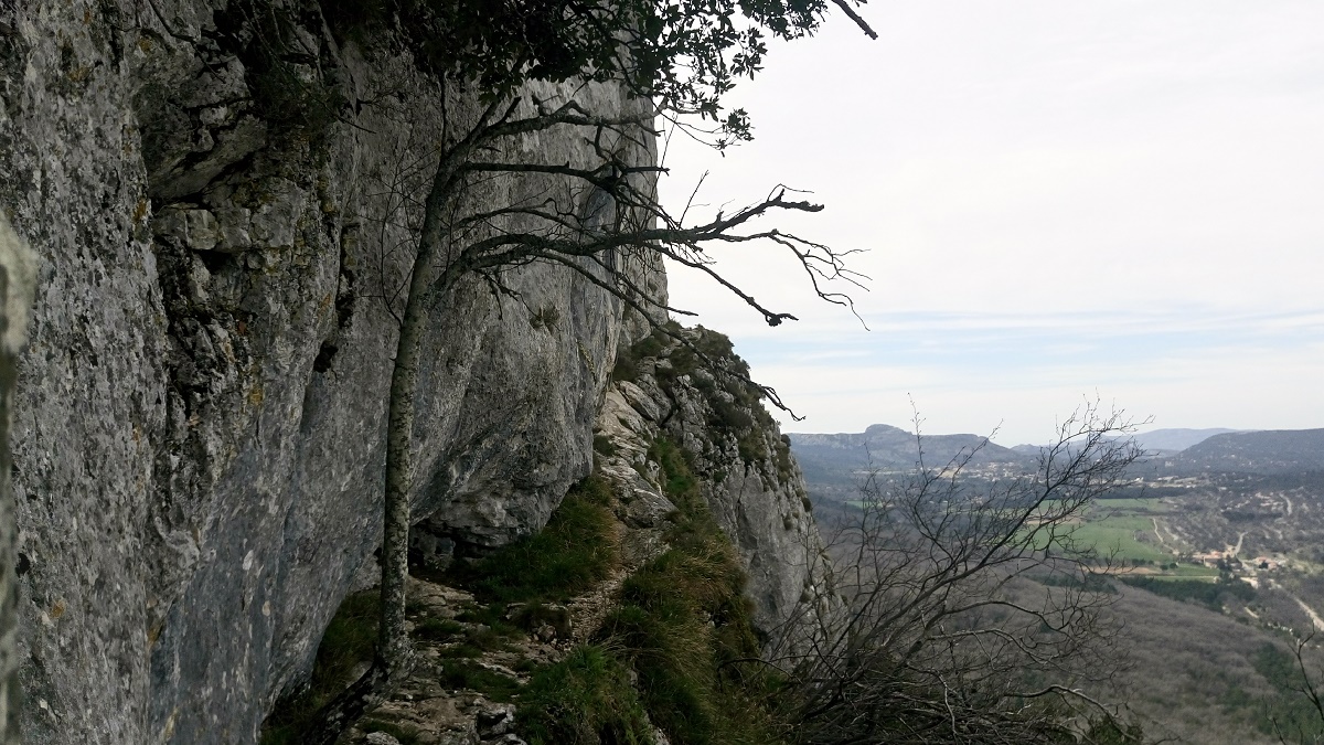 Randonnée sportive Sentier 