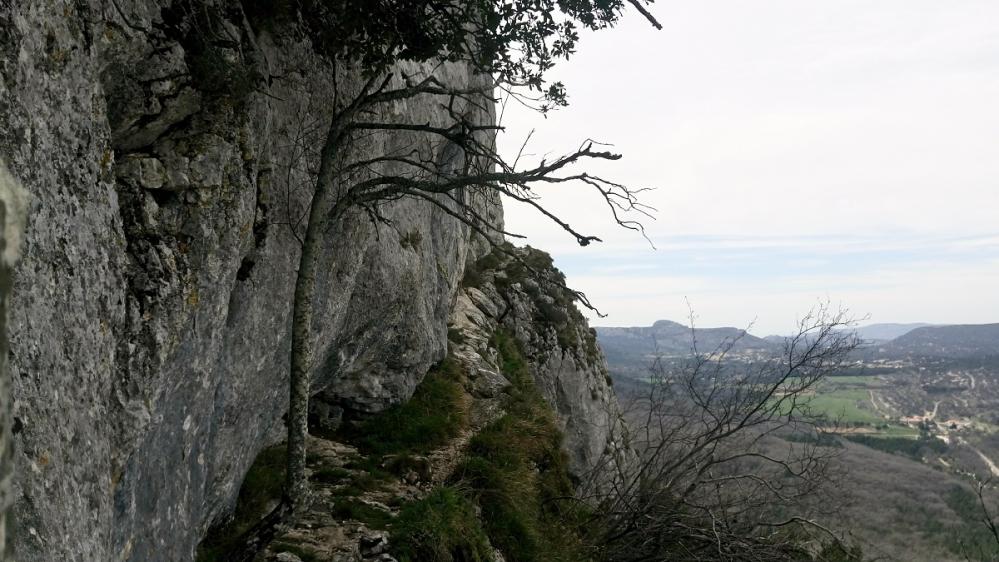 Sentier en corniche du sentier Marcel Estrruch