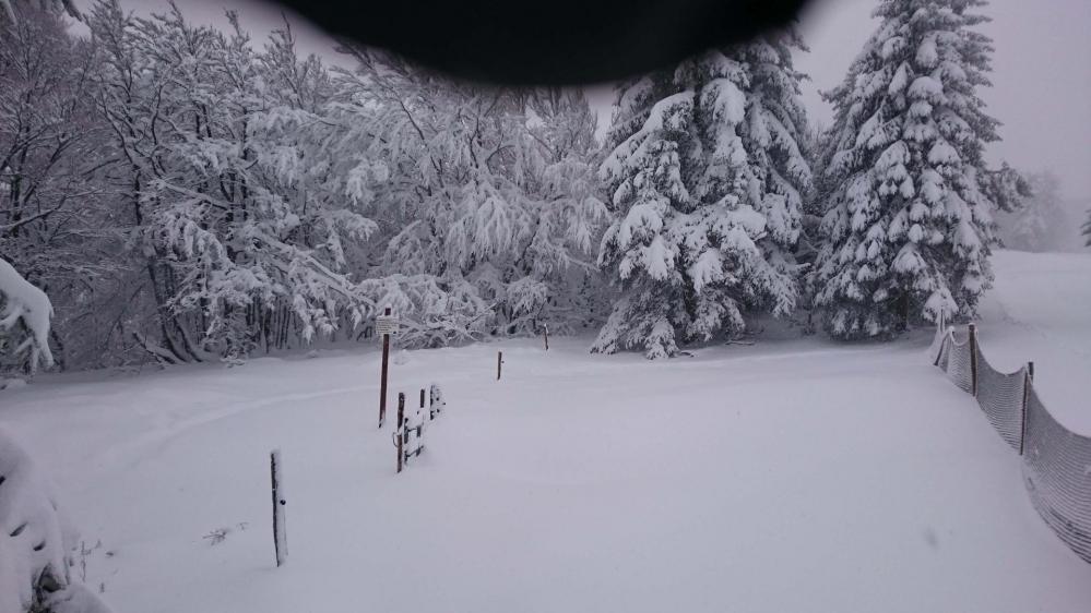 Du refuge des 3 Fours, on attaque la seconde montée en direction du Hohneck