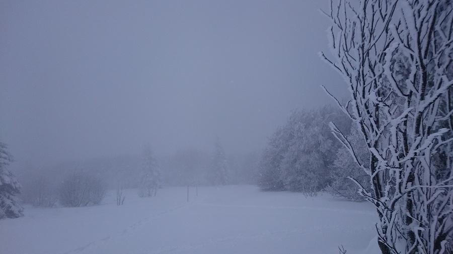 Je redescends du Hohneck, cette fois avec le vent dans le dos !