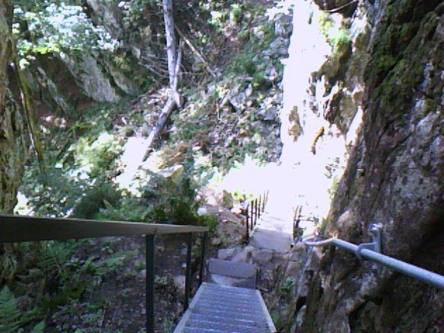 les escaliers du Hirschsteine