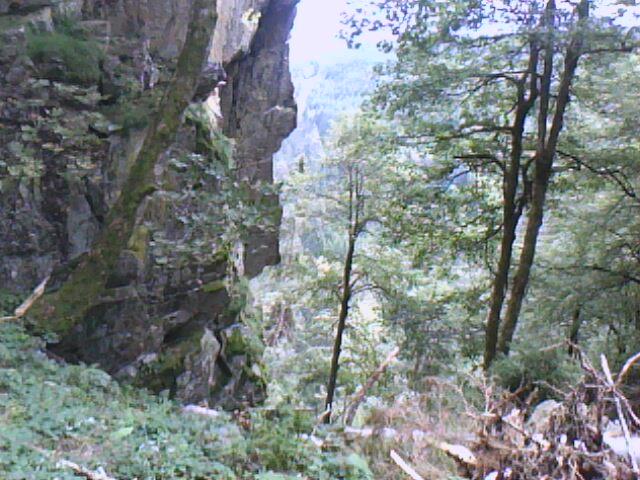 les rochers du Hirschsteine vus du haut du couloir (échelles) (Vosges)