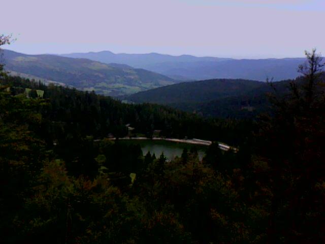 le lac vert en remontant vers les crêtes du Tanet (Vosges)