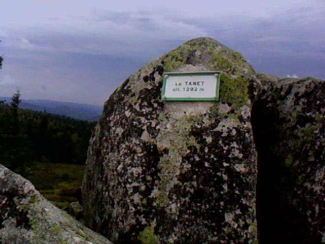 le sommet du rocher du Tanet (vosges)