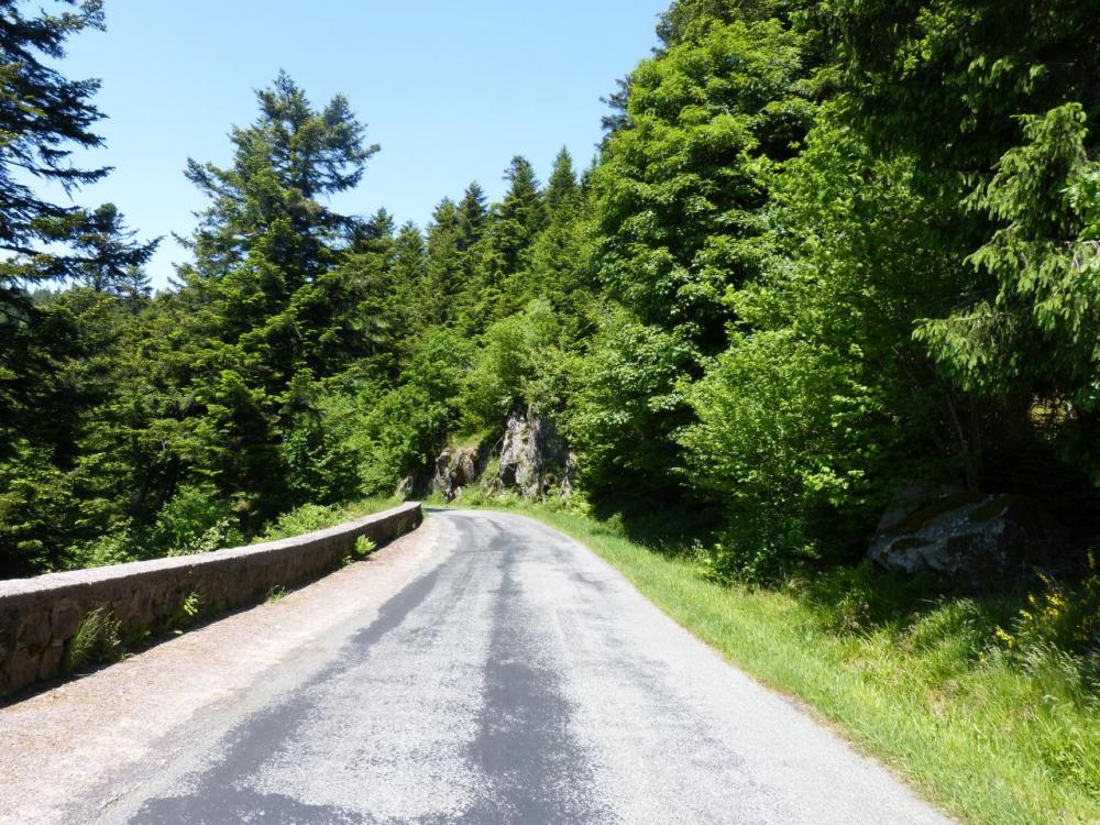 dans la montée du ballon de Servance