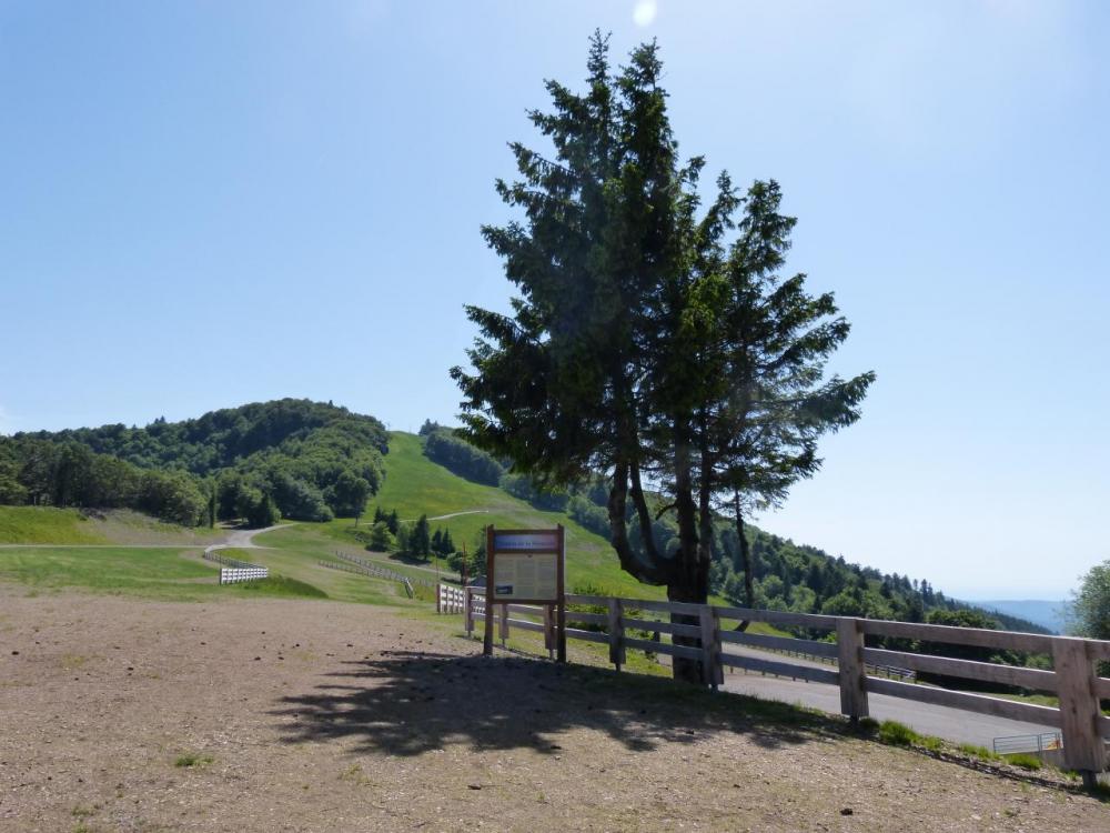 Vue sur le haut de la planche des belles Filles