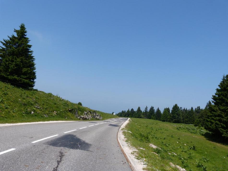 Sortie de la forêt, on approche du sommet