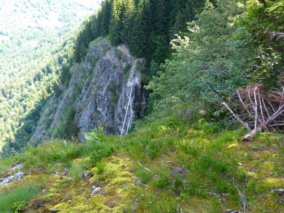 depuis la sortie de la via des passerelles, vue sur ces dernières !