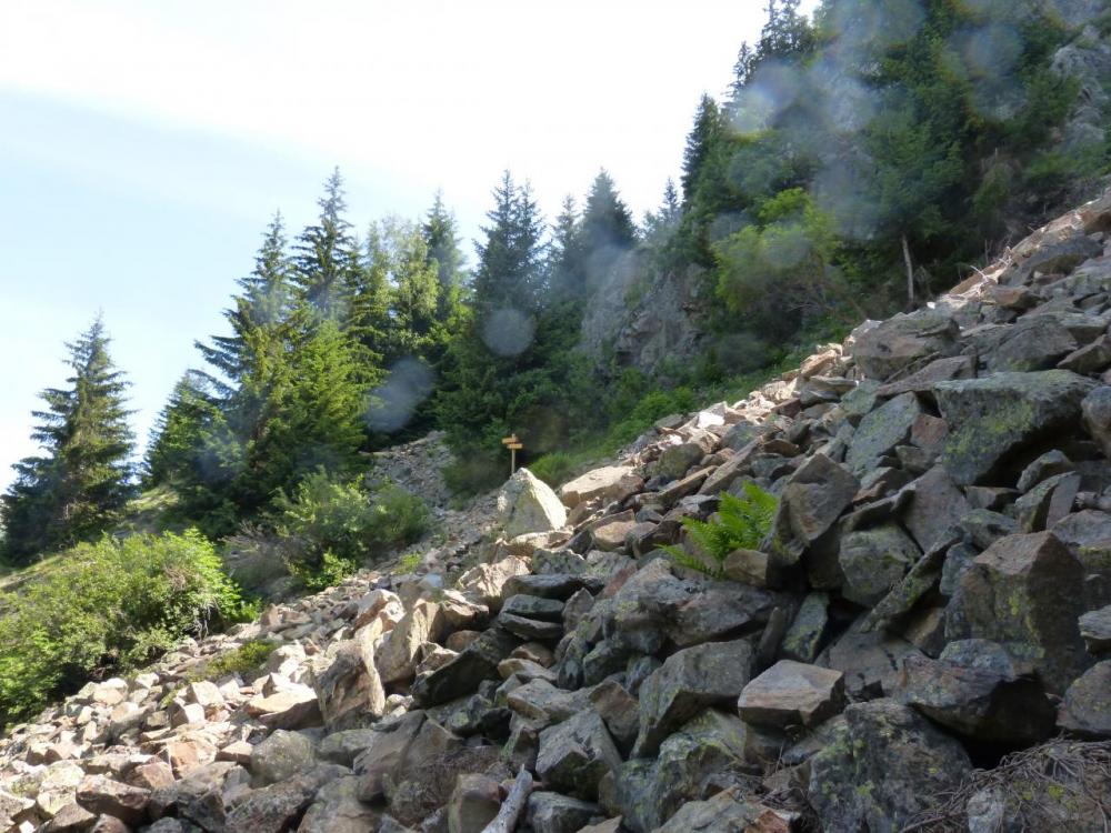 sentier de descente après les passerelles ou à droite la suite de la via ferrata