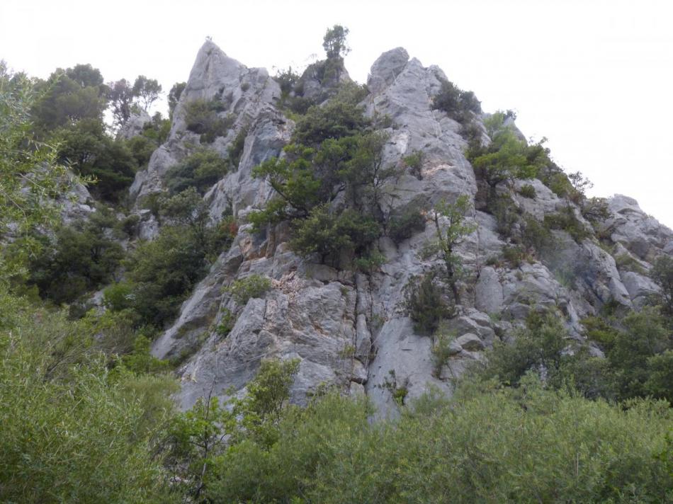 le site d'une seconde via ferrata à Buis les Baronies qui sera sans doute celui de l' initiation ?