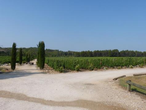 le domaine du Haut Lirou à Le triadou