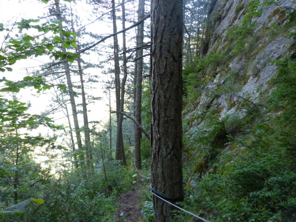 le sentier câblé qui ramène au pied du pilier de départ de la grande passerelle