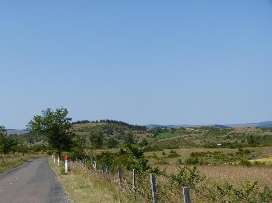 sur le plateau du causse Méjean