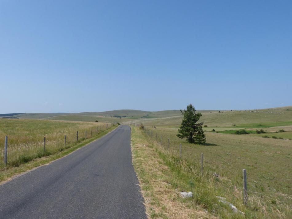 le vaste plateau du Causse méjean