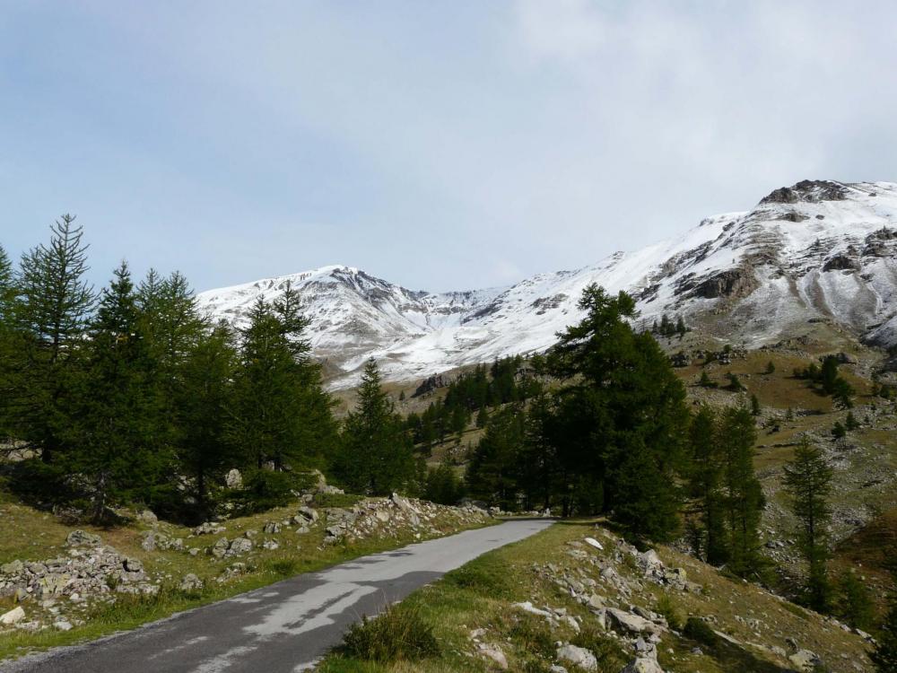 La route qui monte de St Dalmas le Selvage vers le col de Restefond et le col de la Bonette