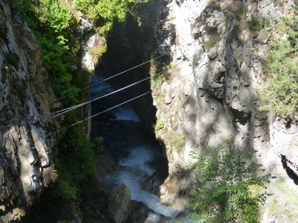 joli pont de singe en fin de parcours