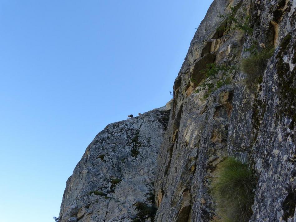 Descente de la via ferrata du roc de Bez