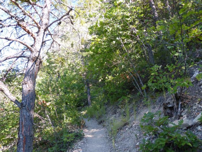 sentier de départ de la via des Vigneaux