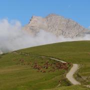 magnifique cadre montagnard et champêtre au col de la Madeleine