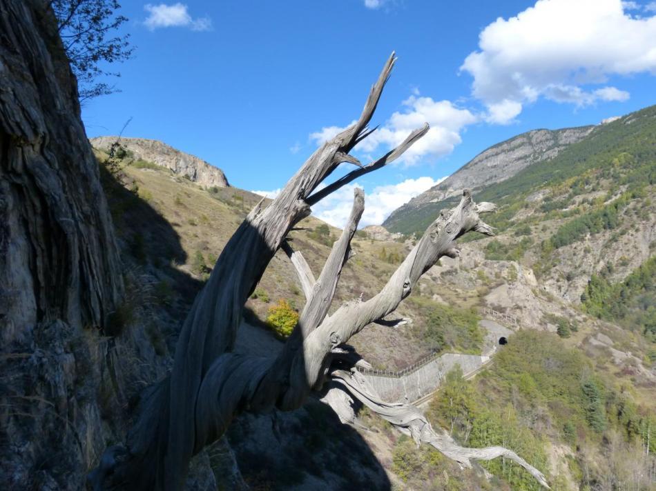 via noire dans les gorges de la Durance, cadre et ambiance assurée ! !