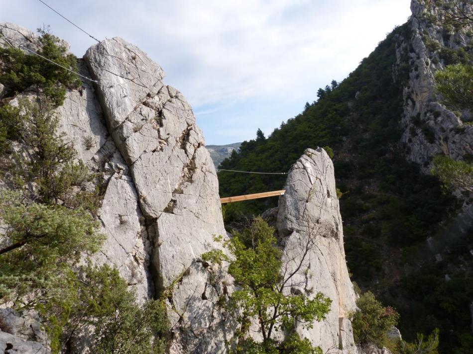 la pitchoune à buis - la poutre et le pont de singe