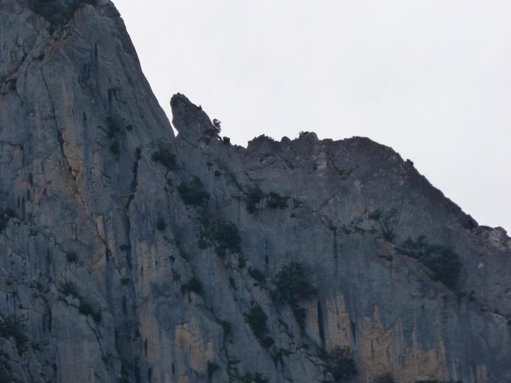 à l' approche de la crête du rocher St Julien . 