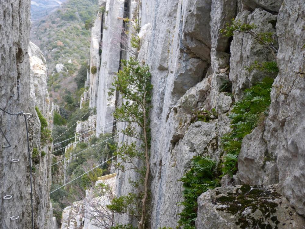 Descente ... tout au fond l' échelle inclinée en rondins de la "Thiousso"